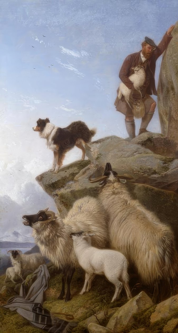 R.Ansdell, Zatoulaná ovce / obraz, 1868 od Richard Ansdell