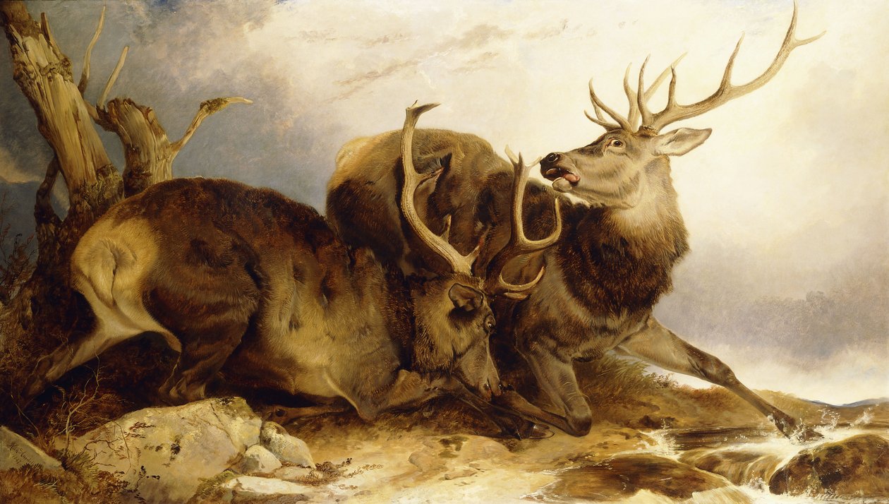 Boj, 1847 od Richard Ansdell