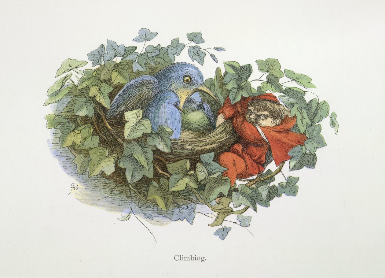 Lezení od Richard Doyle