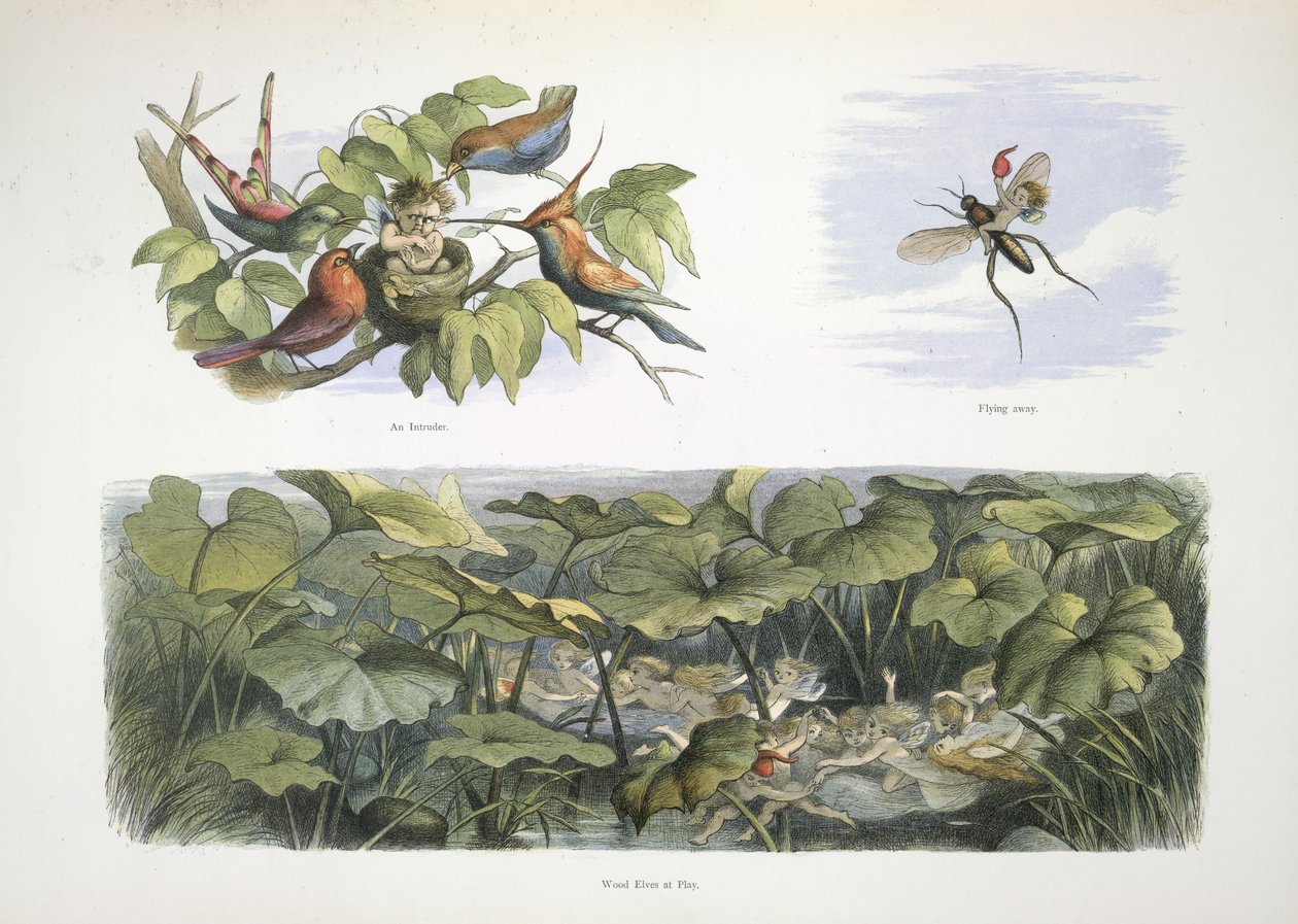 Elfové od Richard Doyle