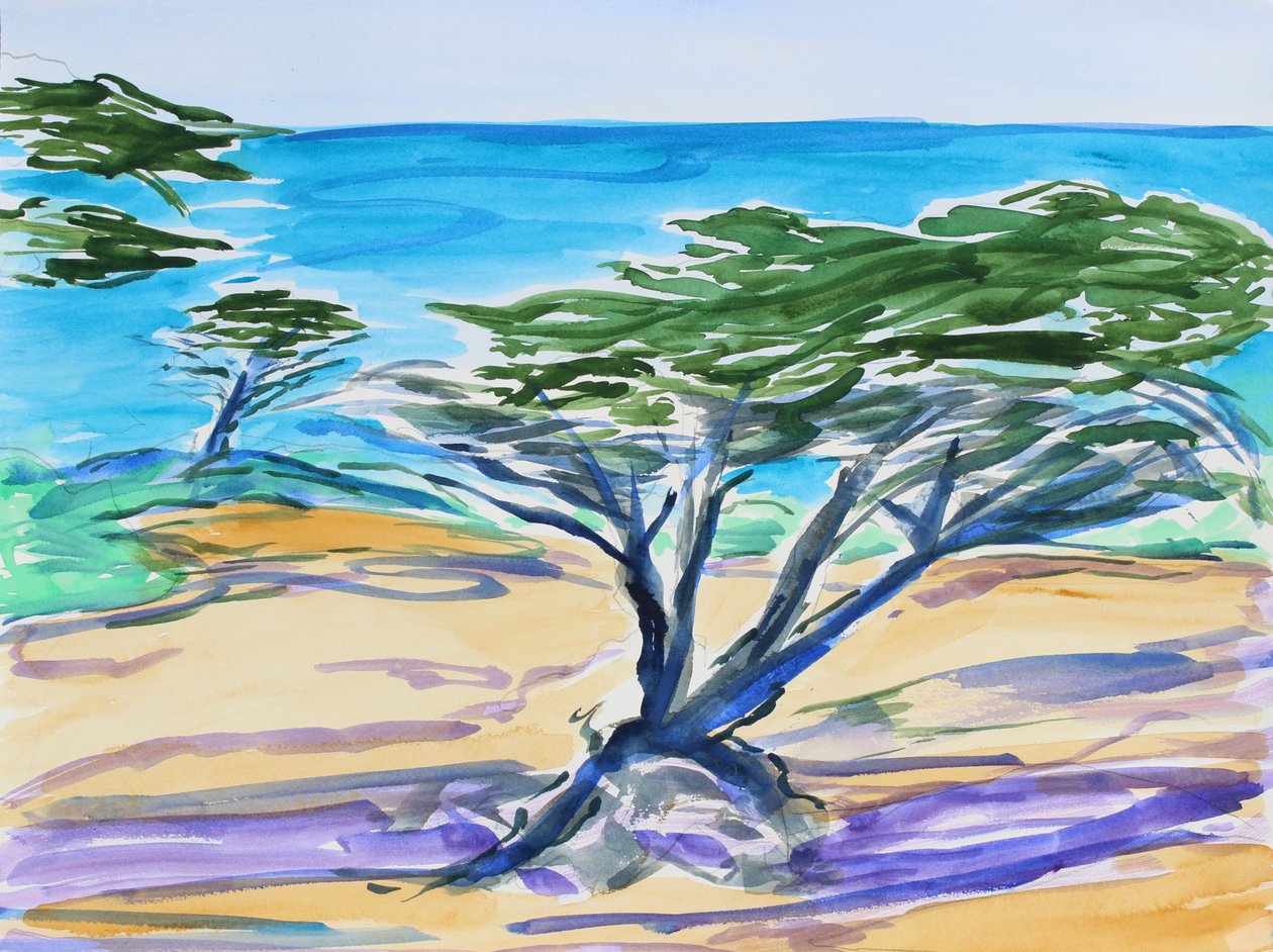 Cypřiš, Carmel Bay, 2019 od Richard Fox