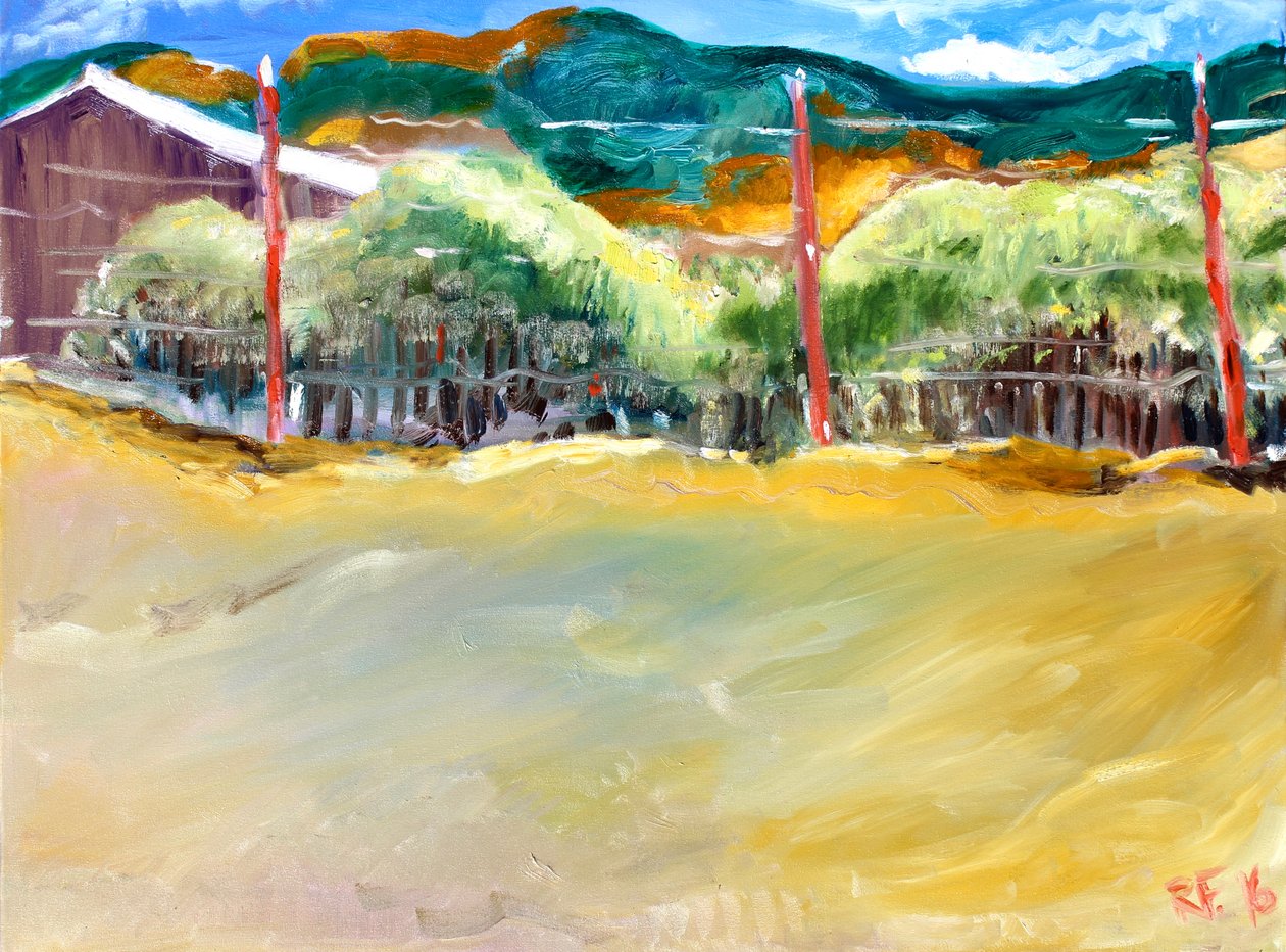 Vinice, Sonoma, 2017 od Richard Fox