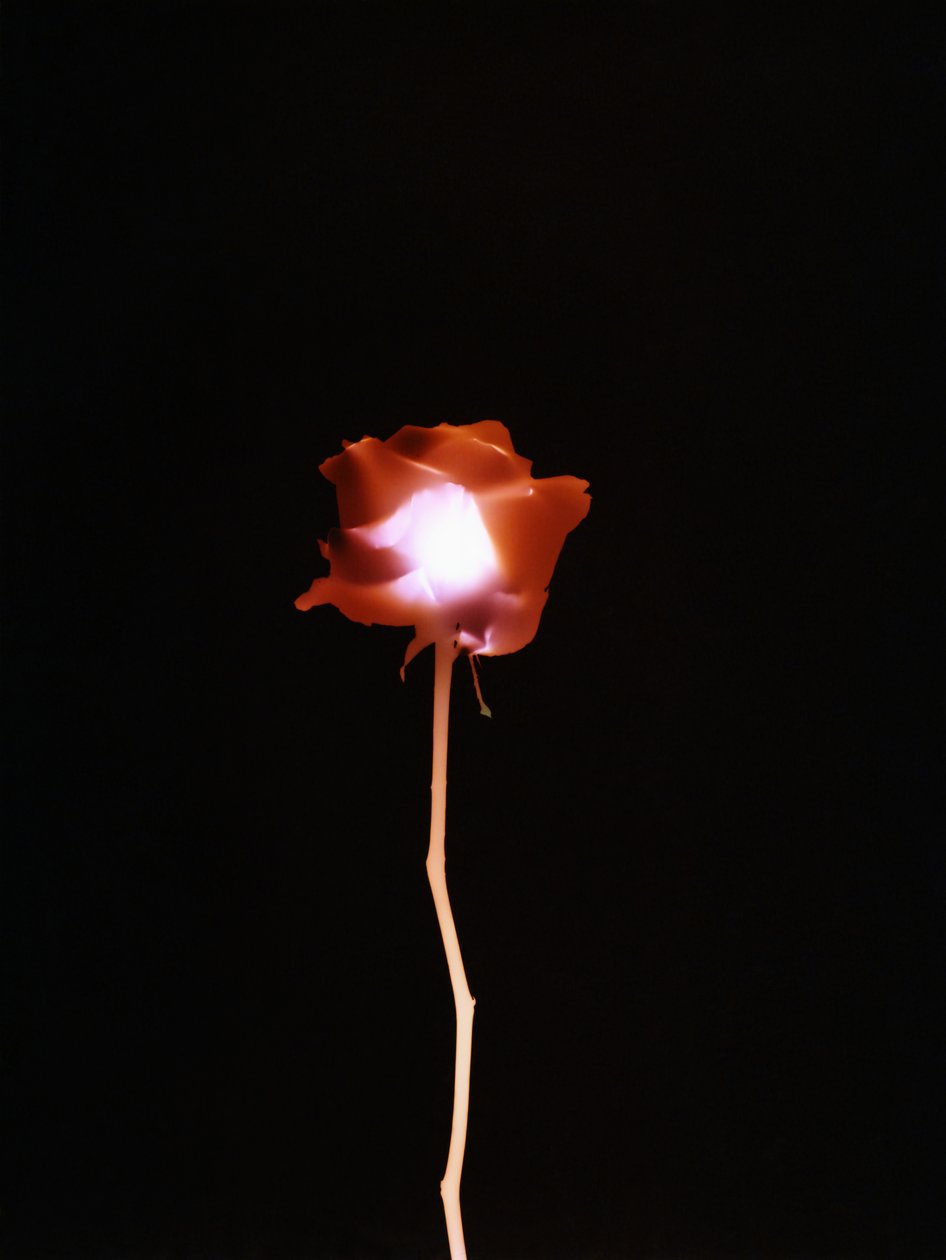 Bez názvu, 2007 od Richard Green