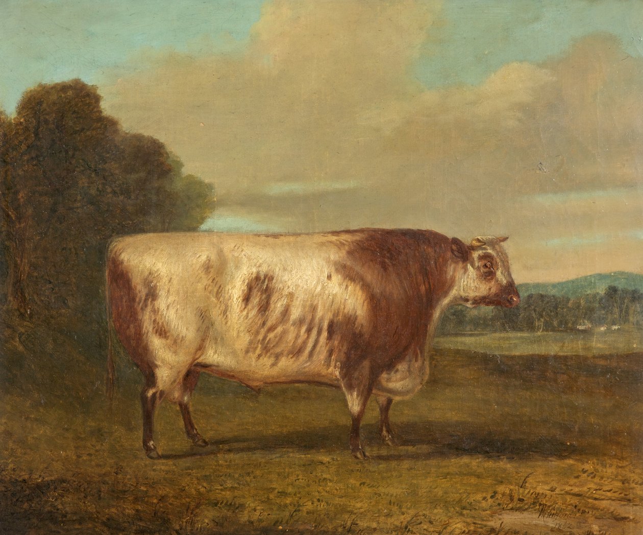 A Bull, 1862 od Richard Whitford