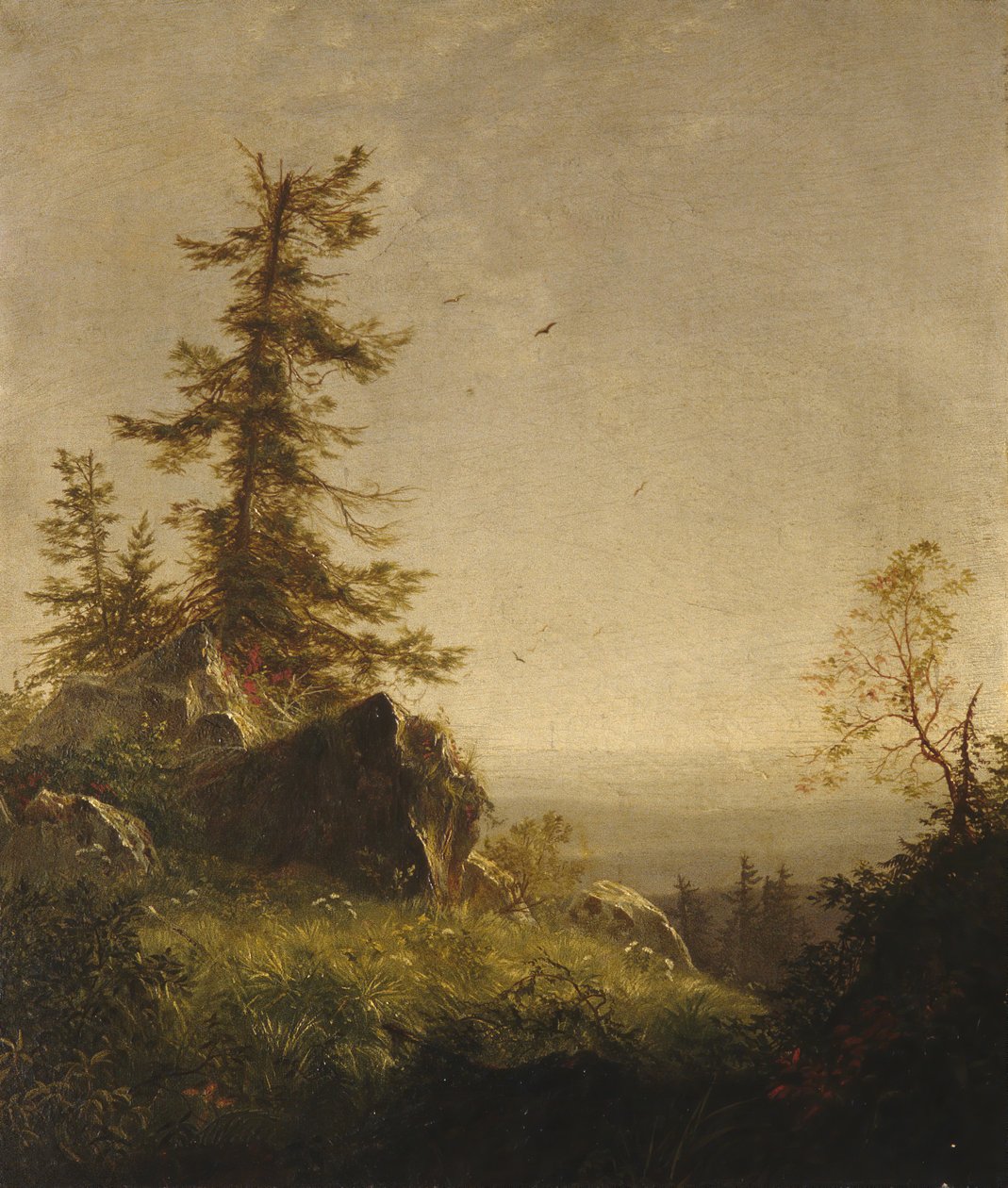 Ráno na hoře, 1856. od Richard William Hubbard