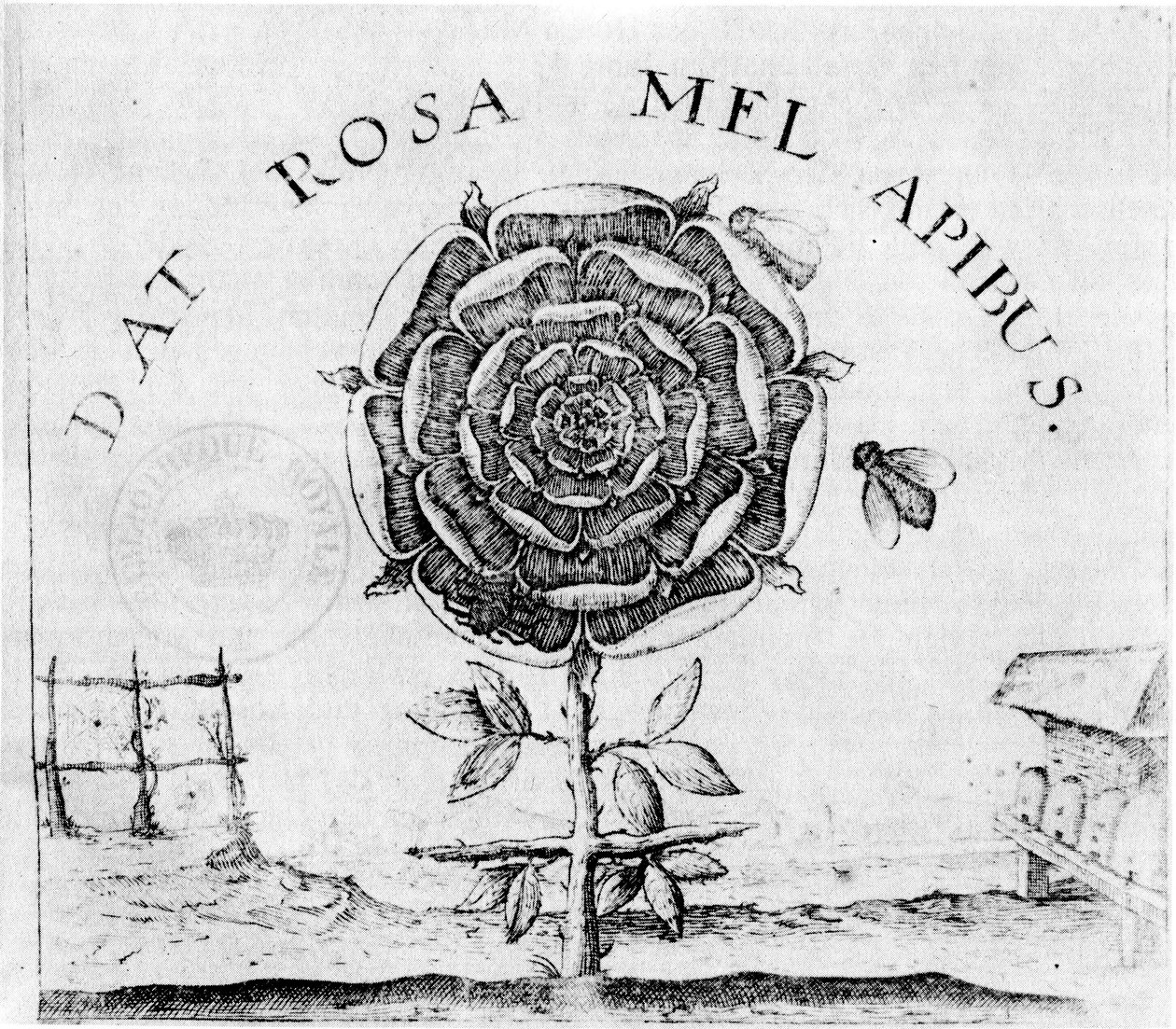 stránka Summum Bonum od Robert Fludd