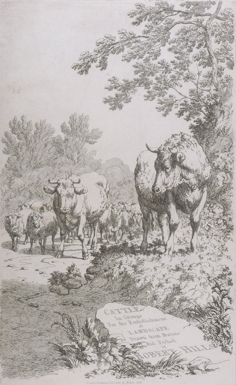 Titulní strana pro dobytek ve skupinách pro zkrášlení krajiny..., 1808 od Robert Hills