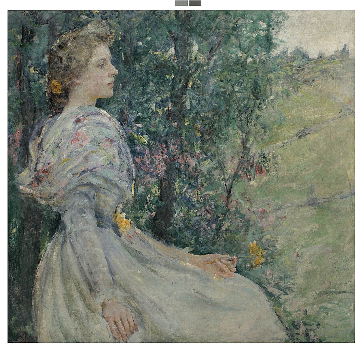 Narcisy od Robert Lewis Reid