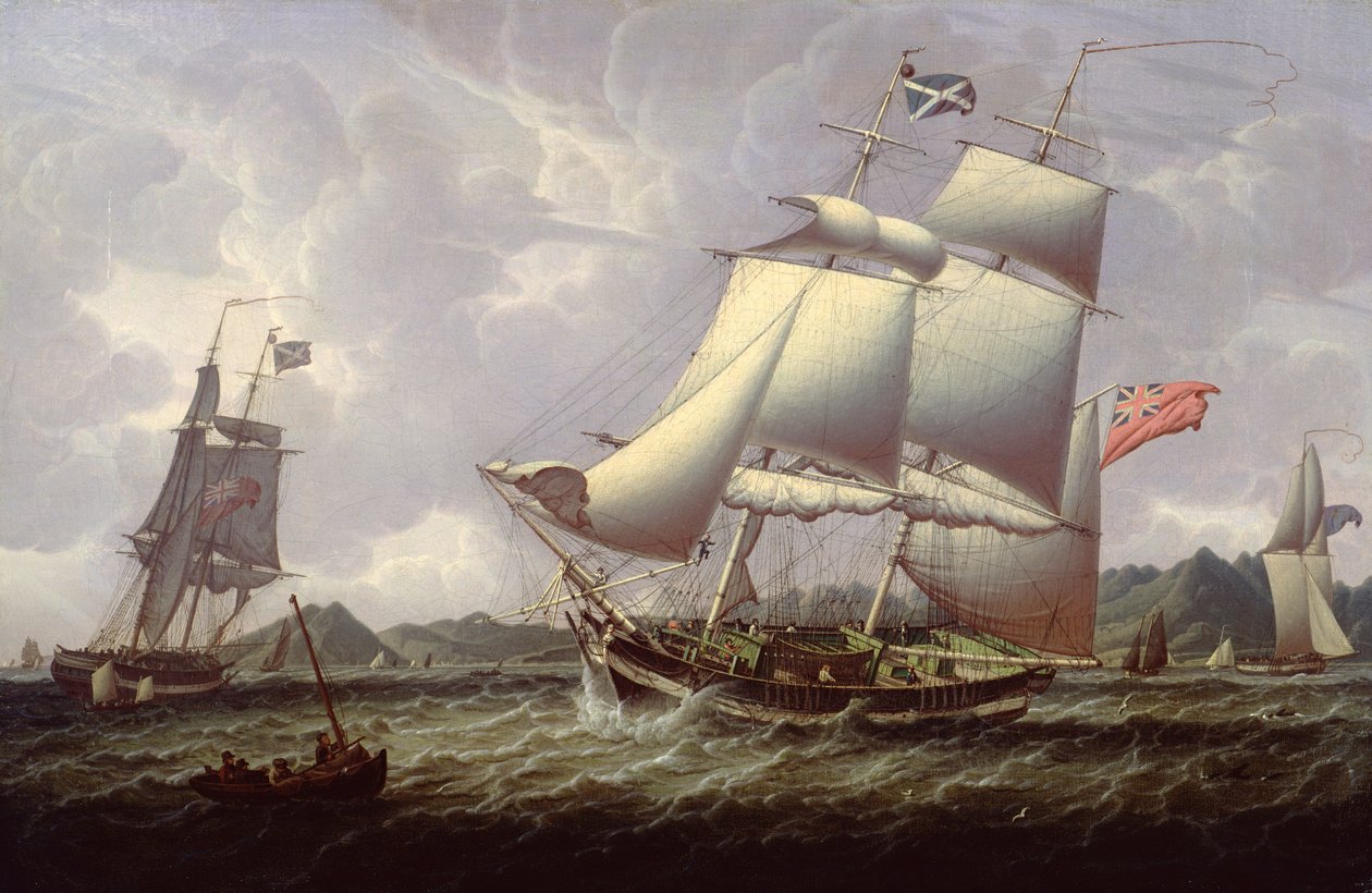 Britské škunery, 1828 od Robert Salmon