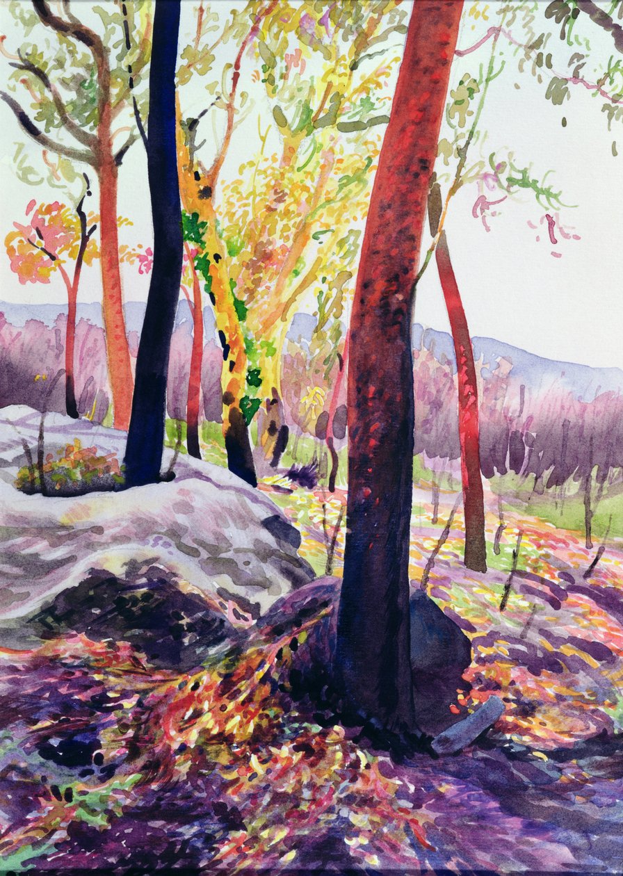 Bush Fire Survivors, Sydney, 1994 (wc) od Robert Tyndall