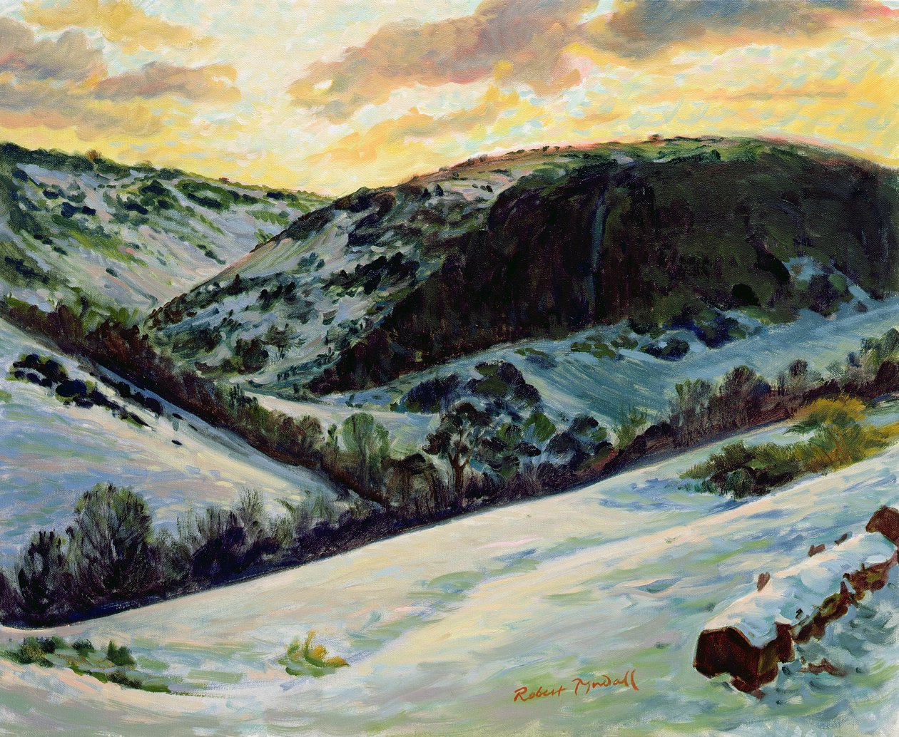 The Devils Dyke in Winter, 1996 od Robert Tyndall