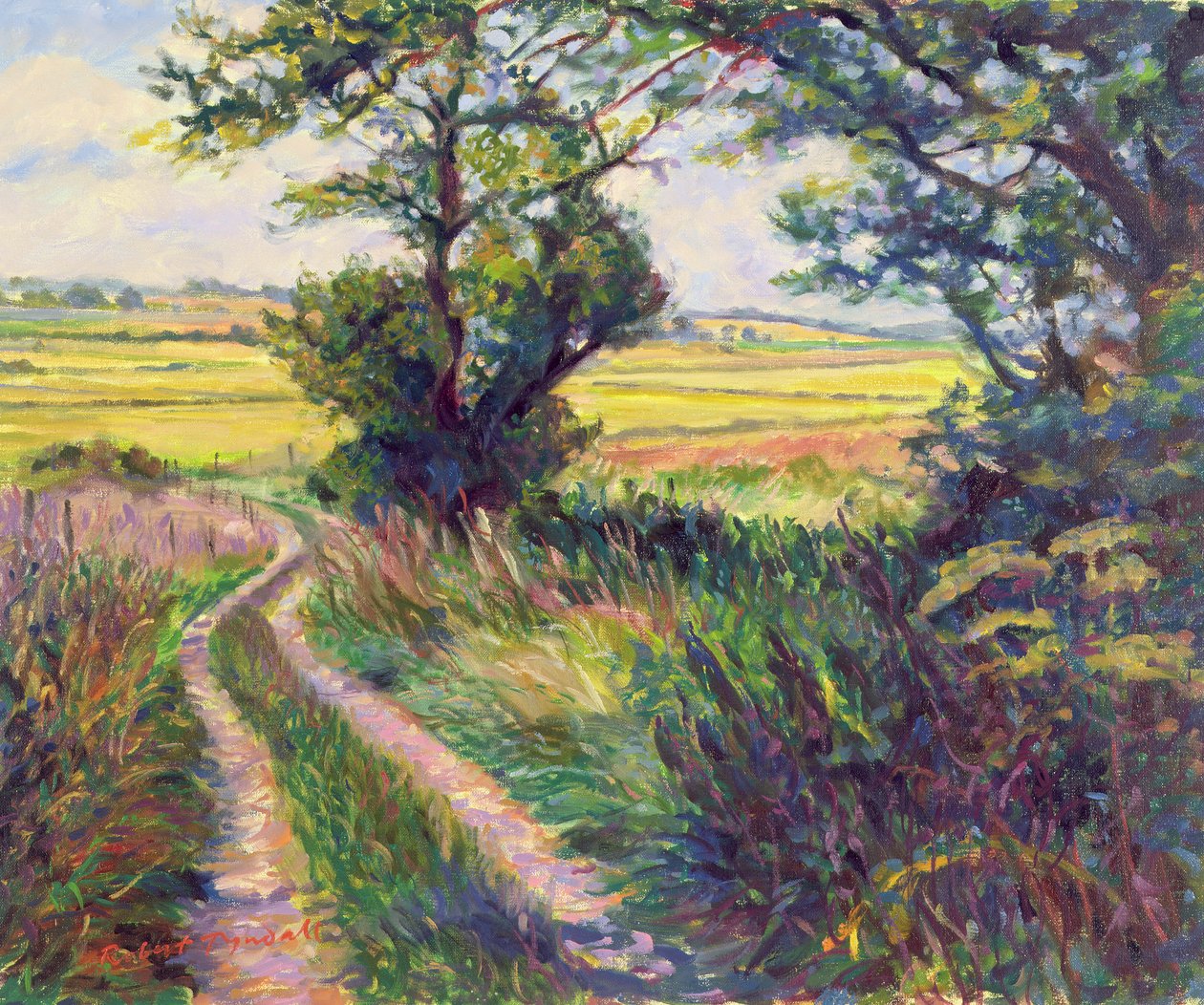 Cesta k Boleynově farmě, Kent od Robert Tyndall
