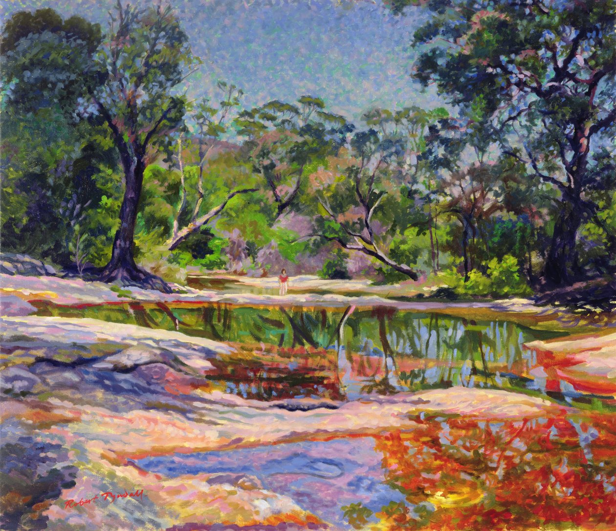 Wirreanda Creek, Nový Jižní Wales, Austrálie od Robert Tyndall
