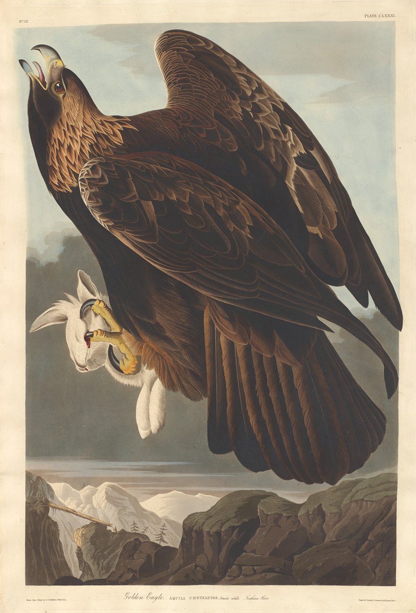 Zlatý orel, 1833. od Robert Havell