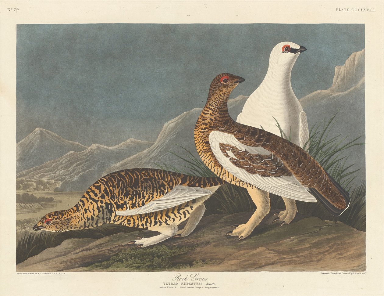 Velký rock, 1837. od Robert Havell