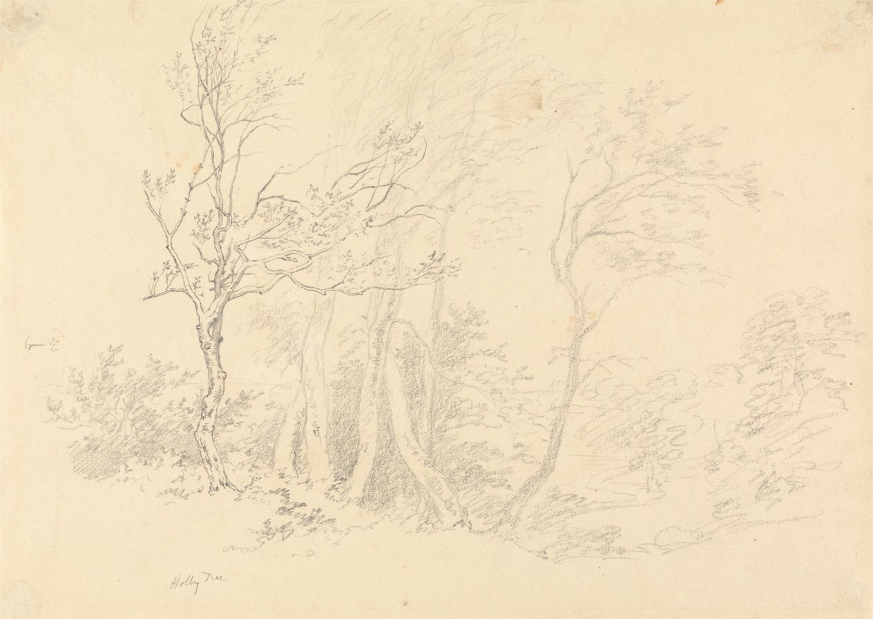 Studie cesmíny od Robert Hills