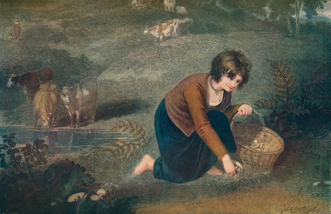 Dívka sbírající houby, 1800, 1917 od Robert Mitchell Meadows