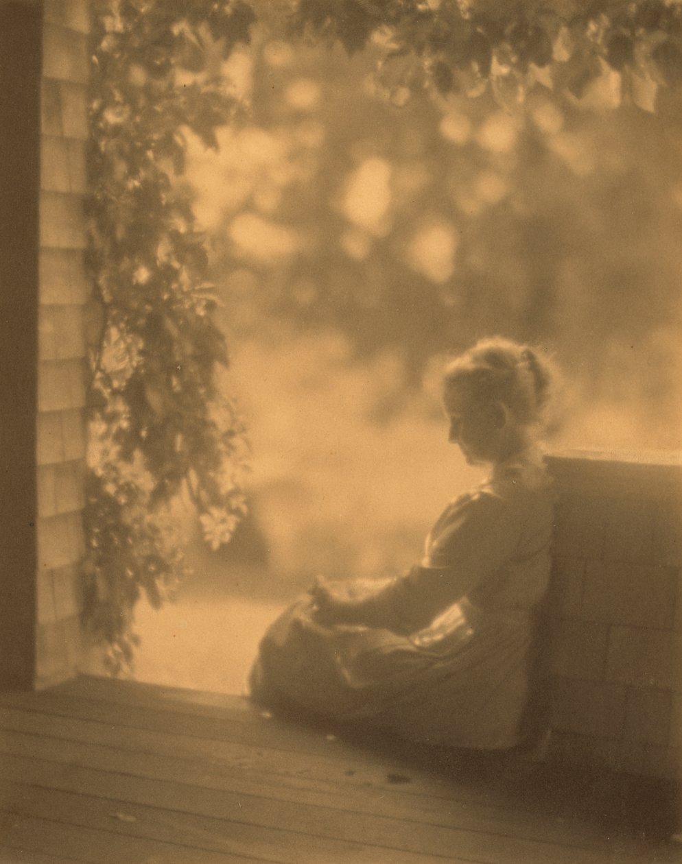 Září slunce od Dwighta A. Davise od Robert Peckham
