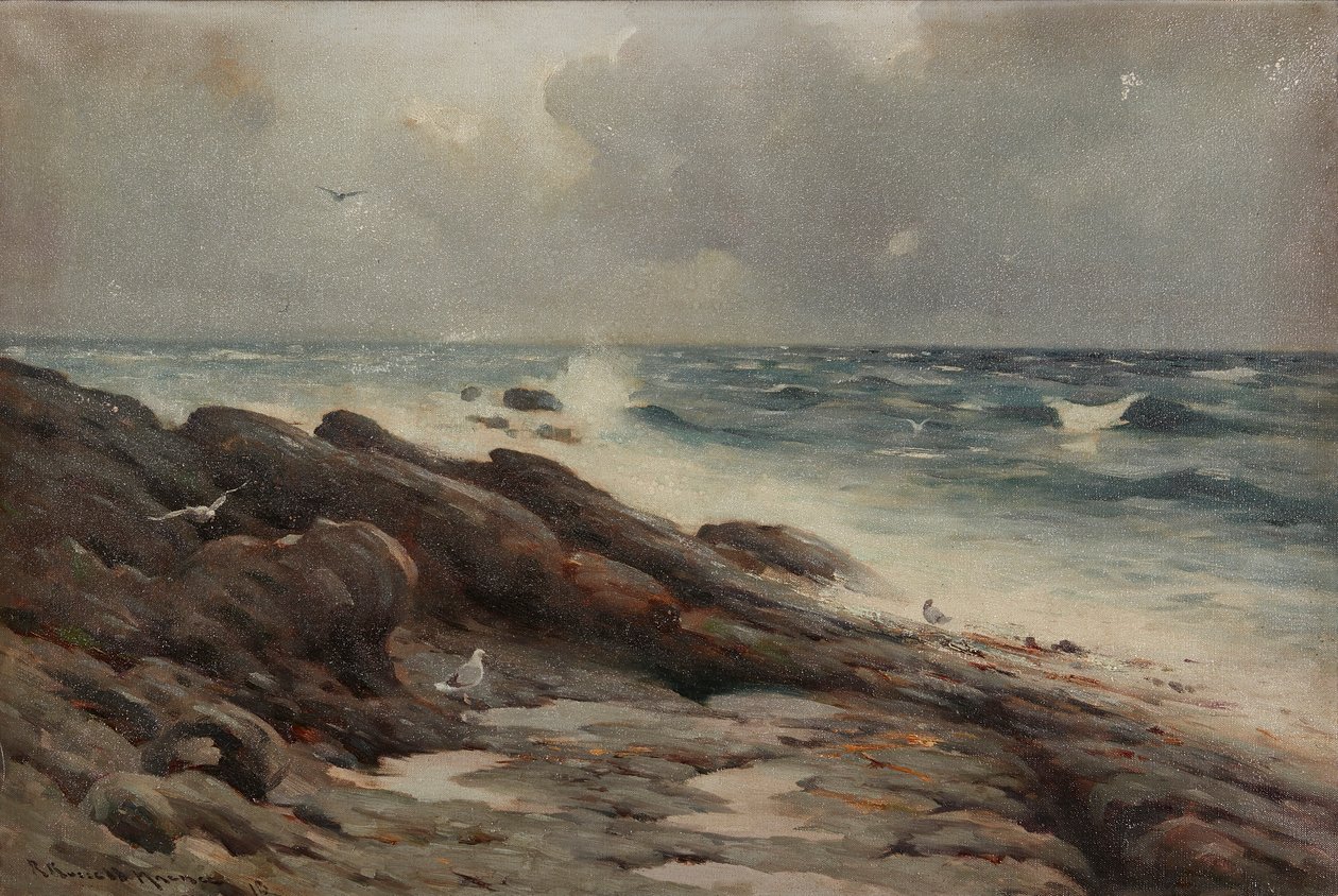 Rocky Coastline (olej na plátně) od Robert Russell MacNee