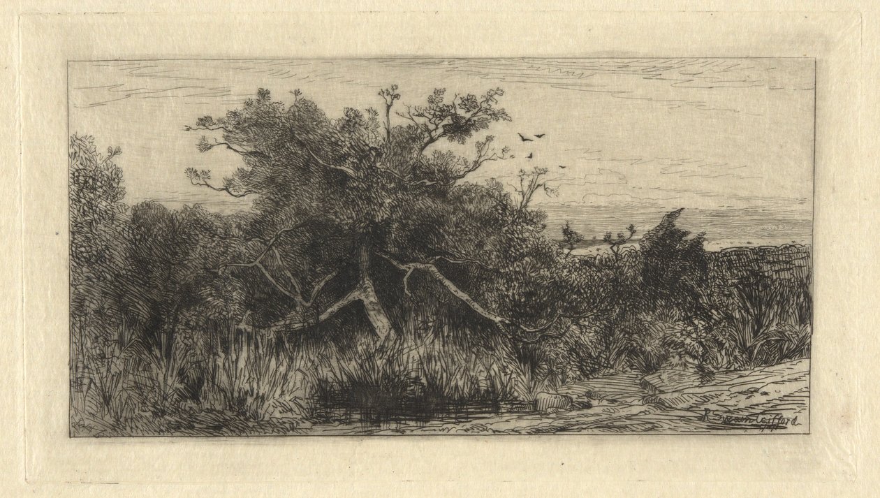 Skvrnitý strom od Robert Swain Gifford