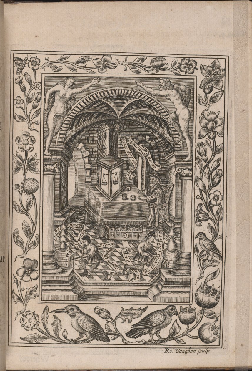 Britské chemické divadlo, 1652 od Robert Vaughan