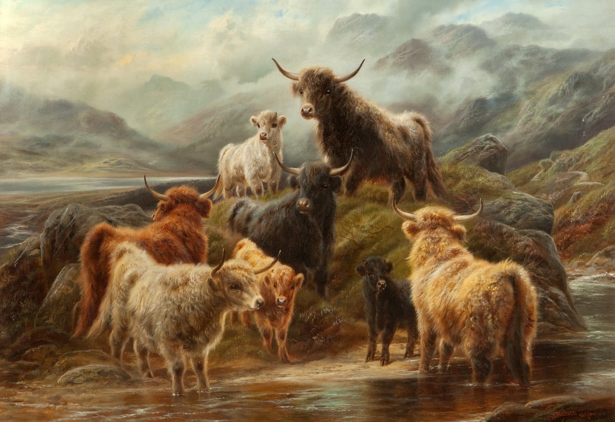 Highland Cattle, 1894 od Robert Watson