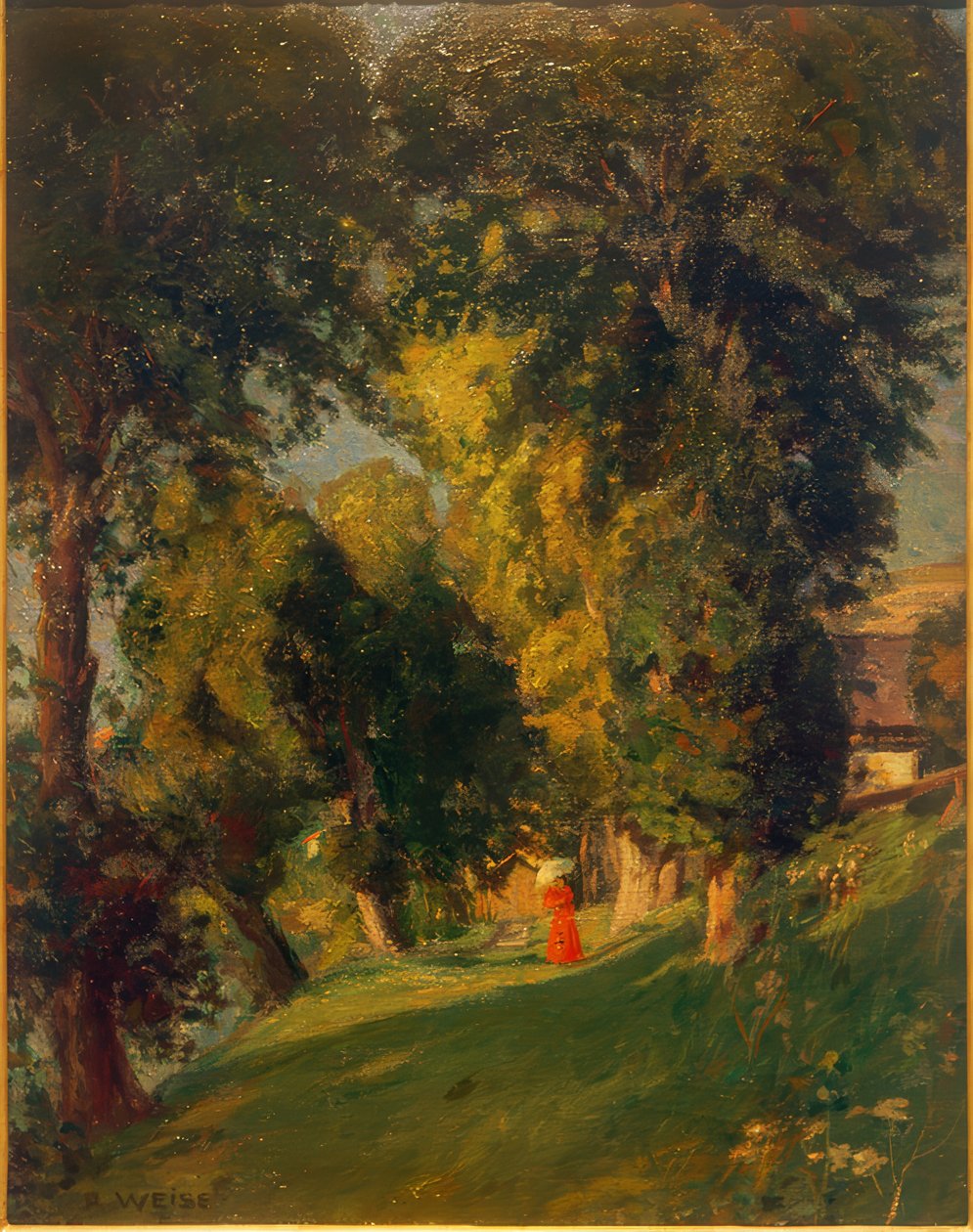 Parkland od Robert Weise