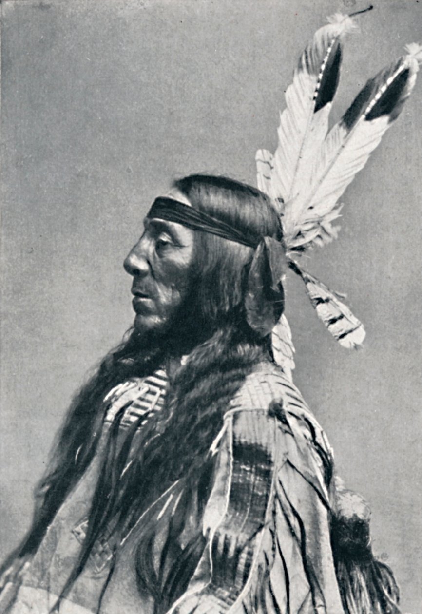 Profilový pohled na Siouxe, 1912 od Robert Wilson Shufeldt