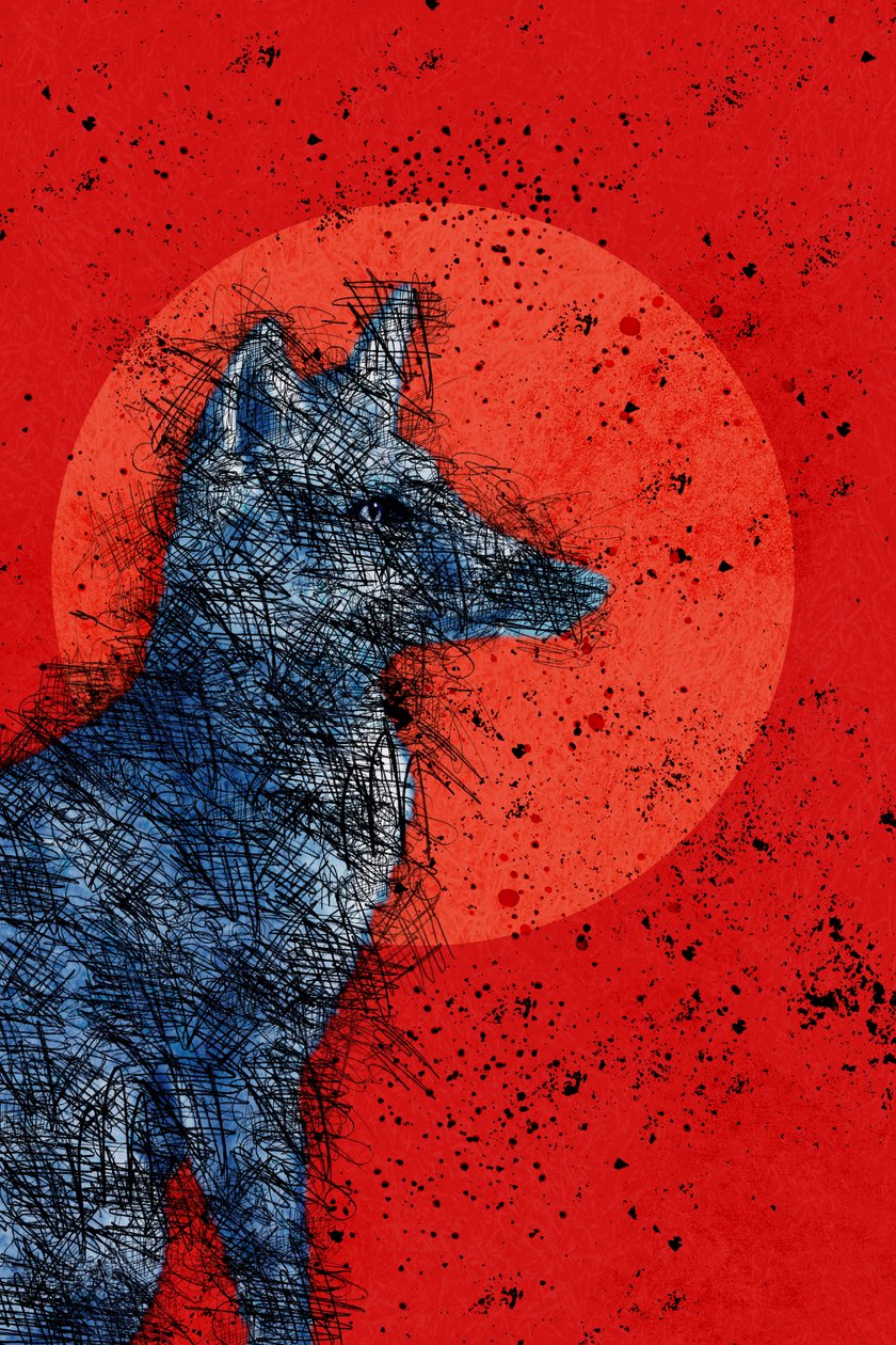 Blood Moon Fox, 2022 (digitální) od Roberta Murray