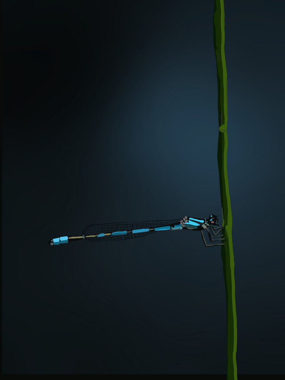 Damselfly, 2022 (digitální) od Roberta Murray