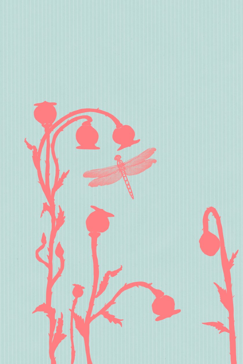 The Poppy, 2023 (digitální) od Roberta Murray