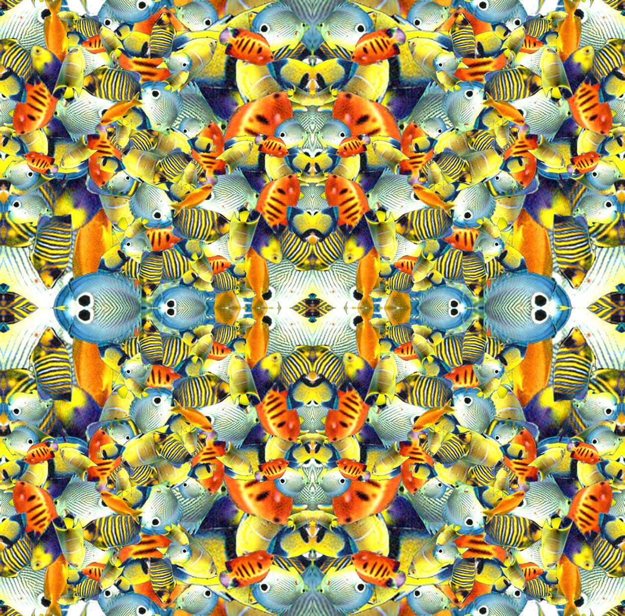 Dlaždice Kaleidoscope Fish od Robyn Parker