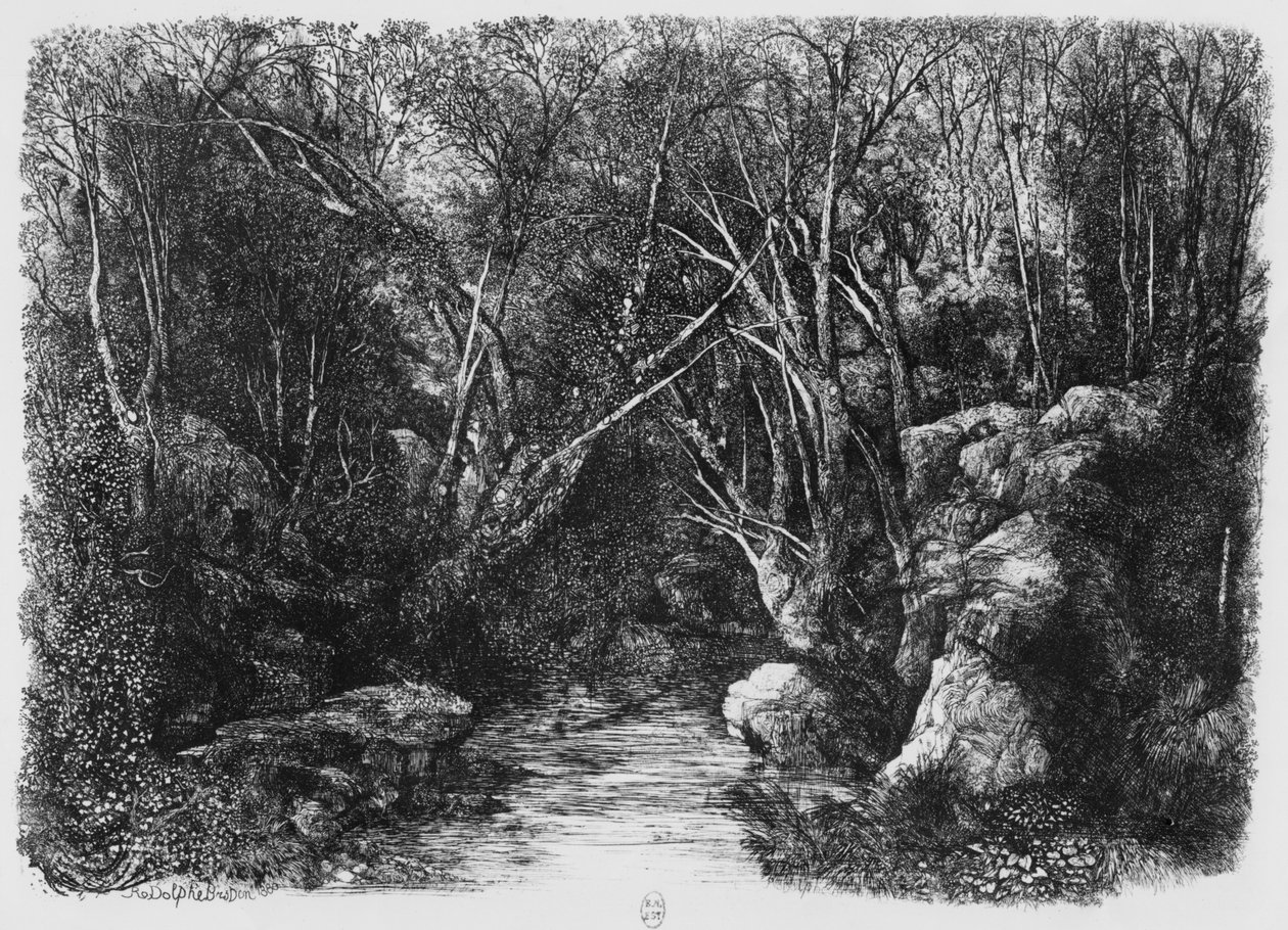 Potok skrz stromy, 1880 od Rodolphe Bresdin
