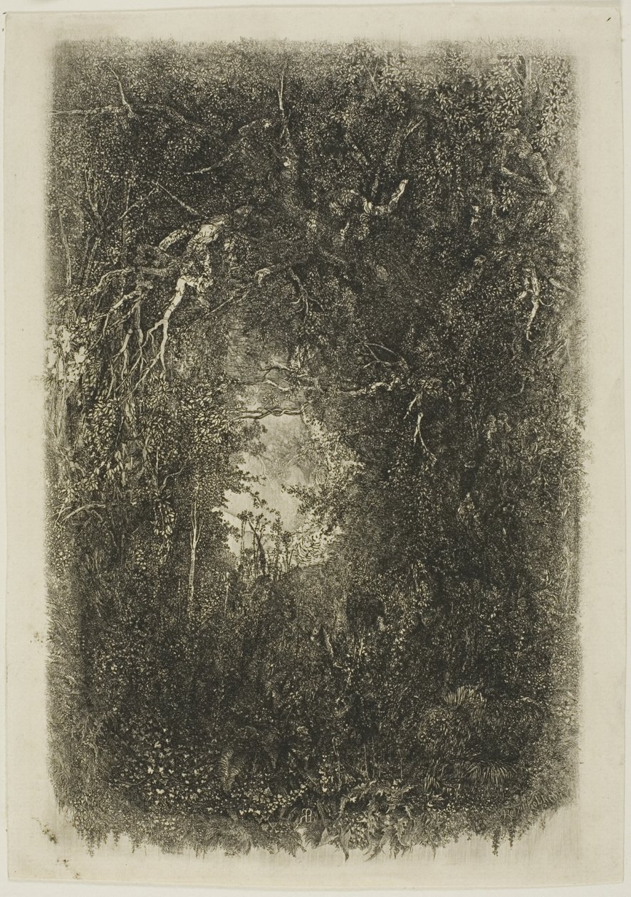 Mýtina v lese od Rodolphe Bresdin