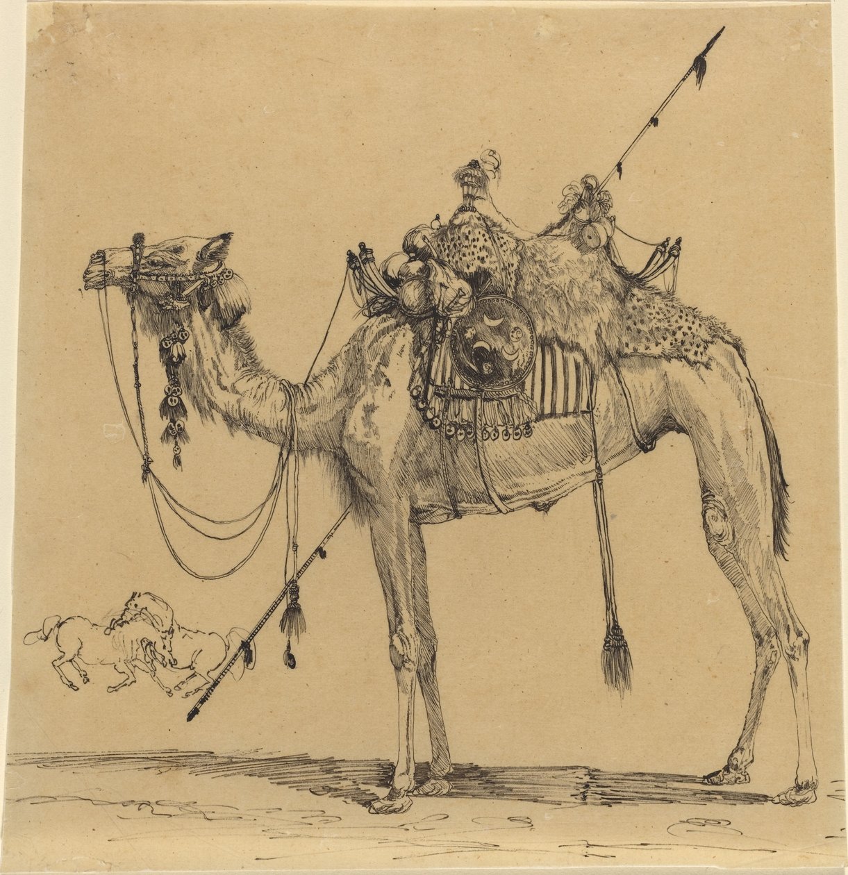 Velbloud od Rodolphe Bresdin
