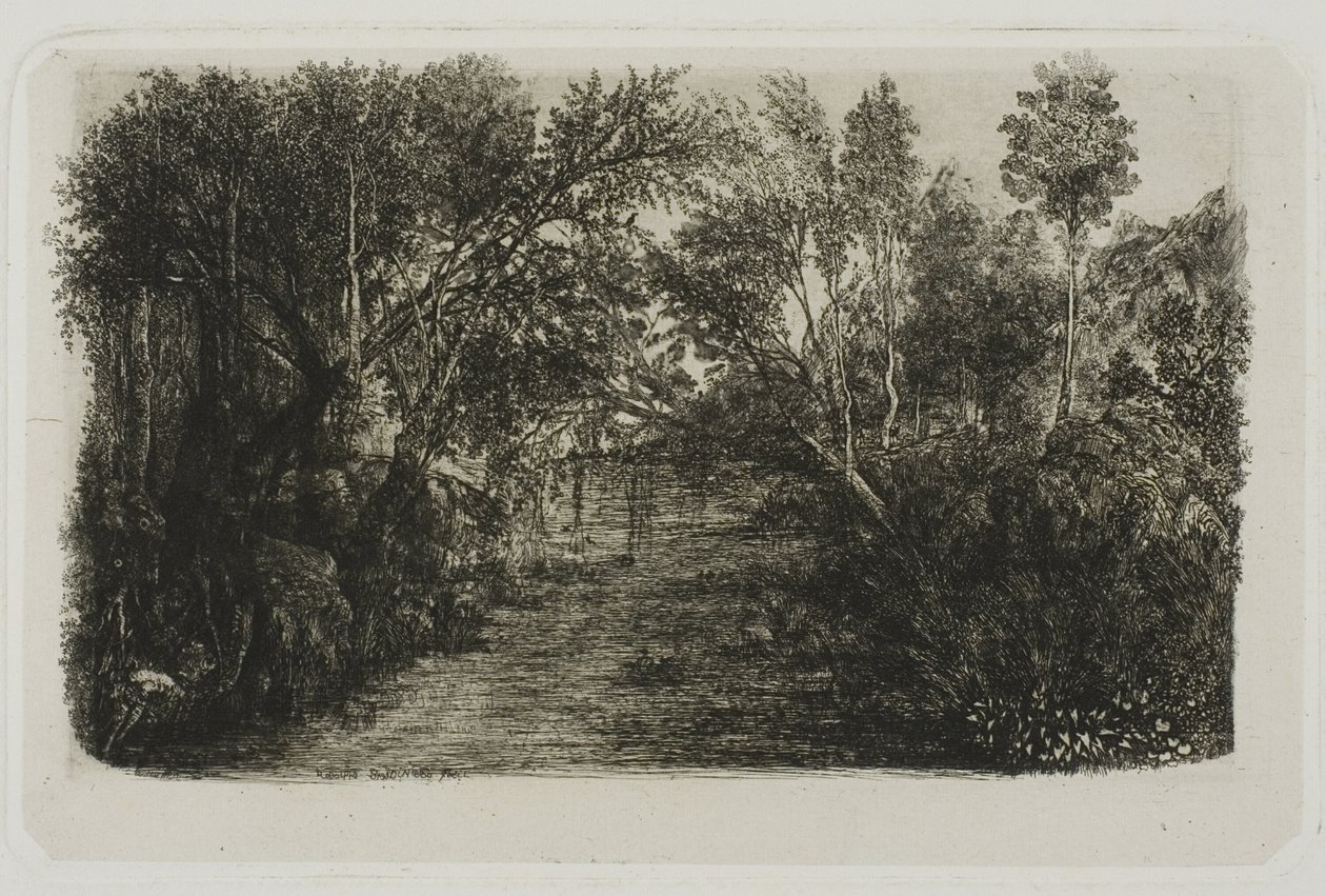 Potok od Rodolphe Bresdin