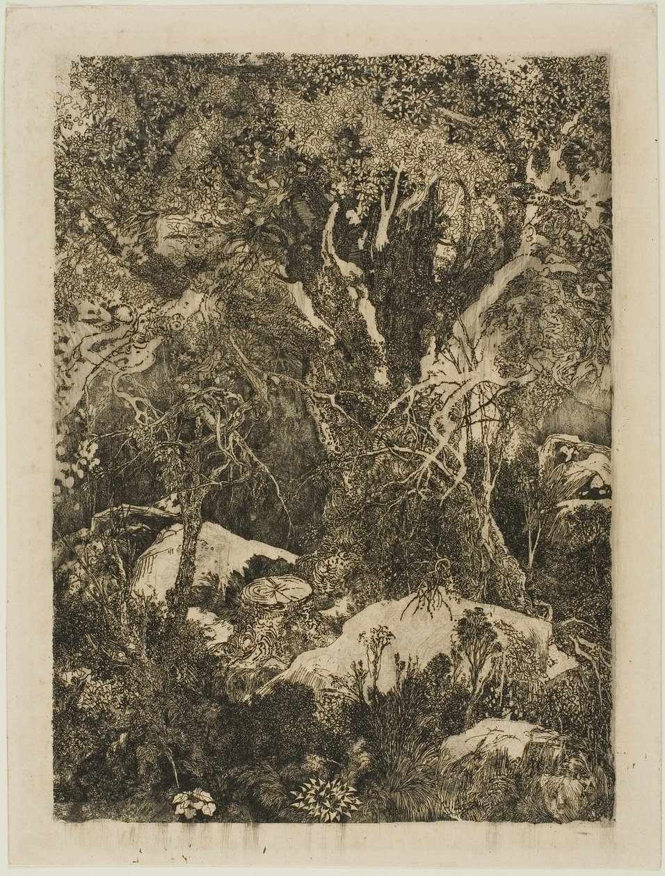 Les Fontainebleau od Rodolphe Bresdin