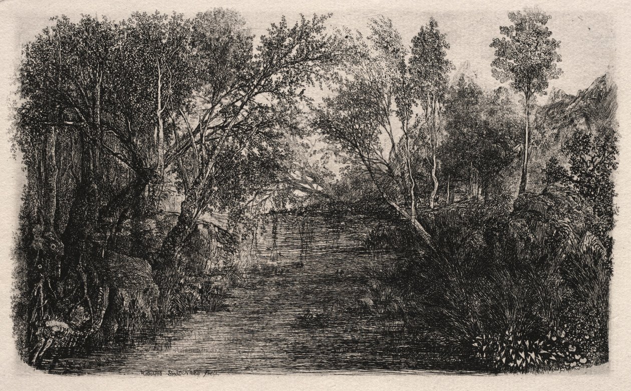 Potok, 1880. od Rodolphe Bresdin