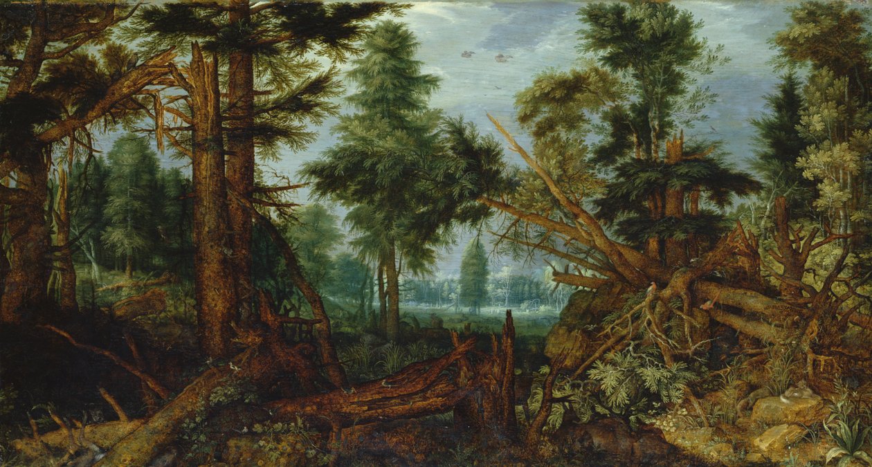 Lesy po bouři od Roelandt Jacobsz. Savery