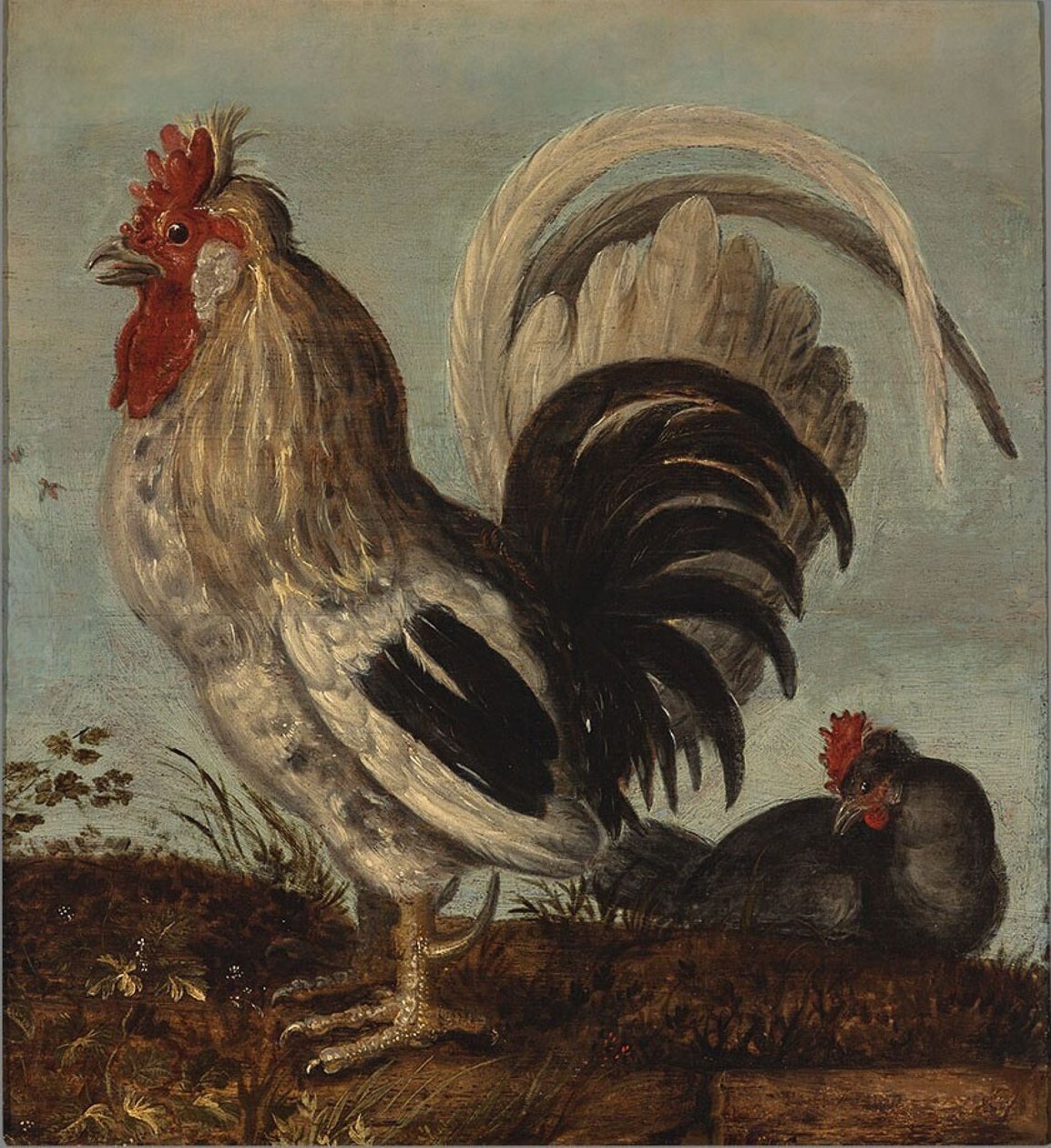 kohout od Roelandt Jacobsz. Savery