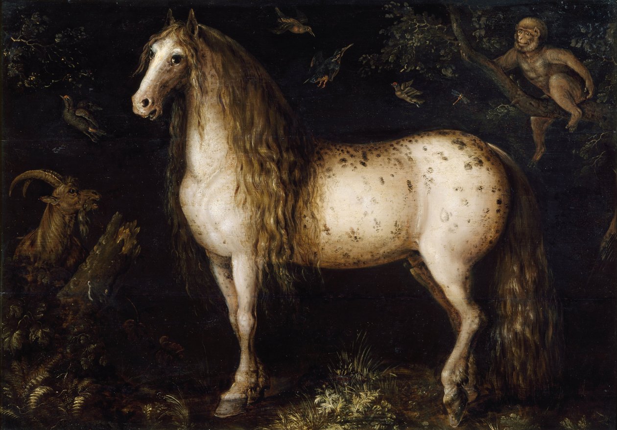 Šedá, c. 1625-1630 od Roelant Savery