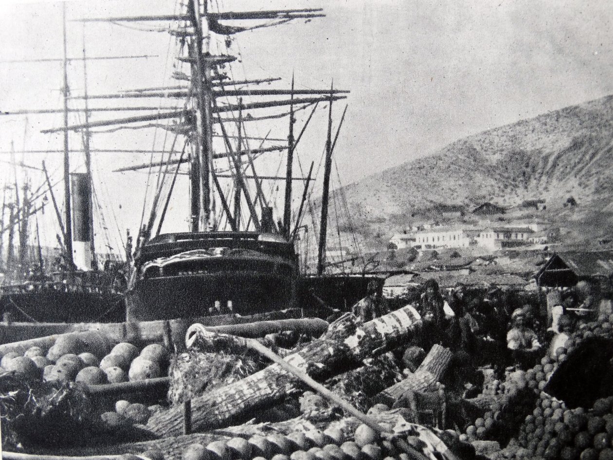 The Ordnance Wharf, Balaclava od Roger Fenton