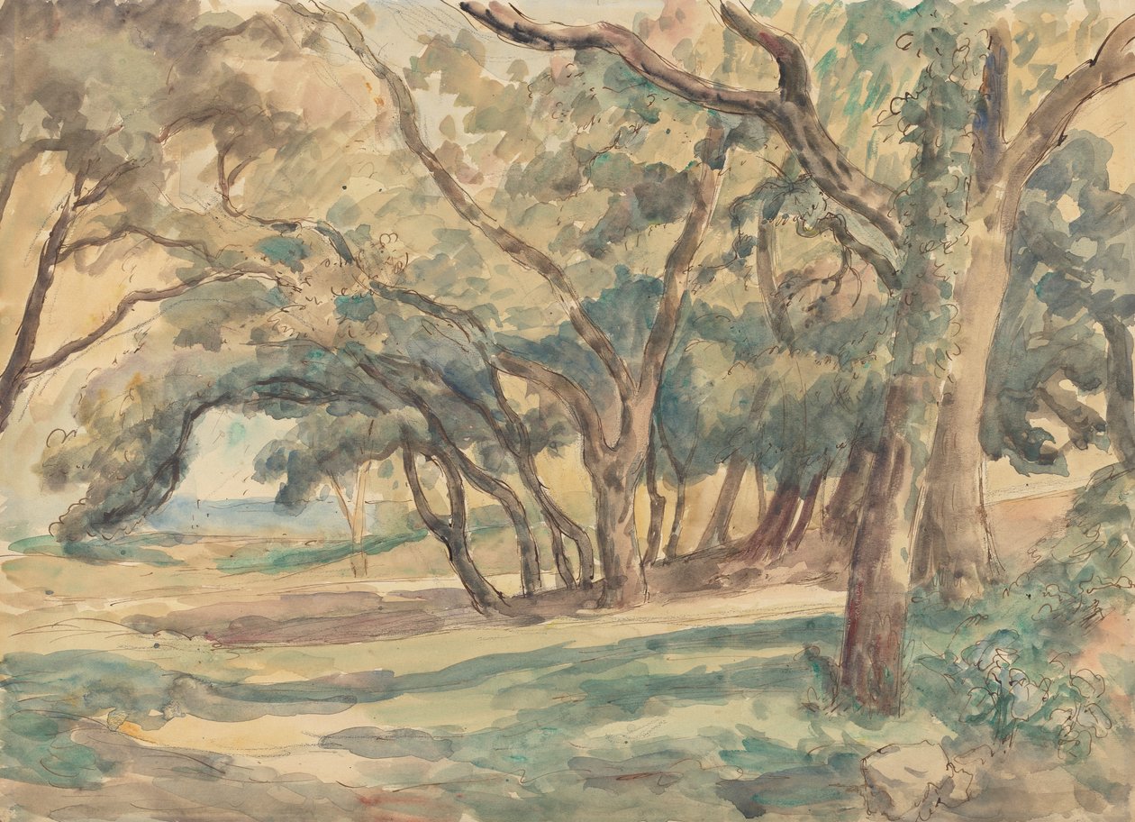 Wooded Glade poblíž St. Tropez od Roger Fry