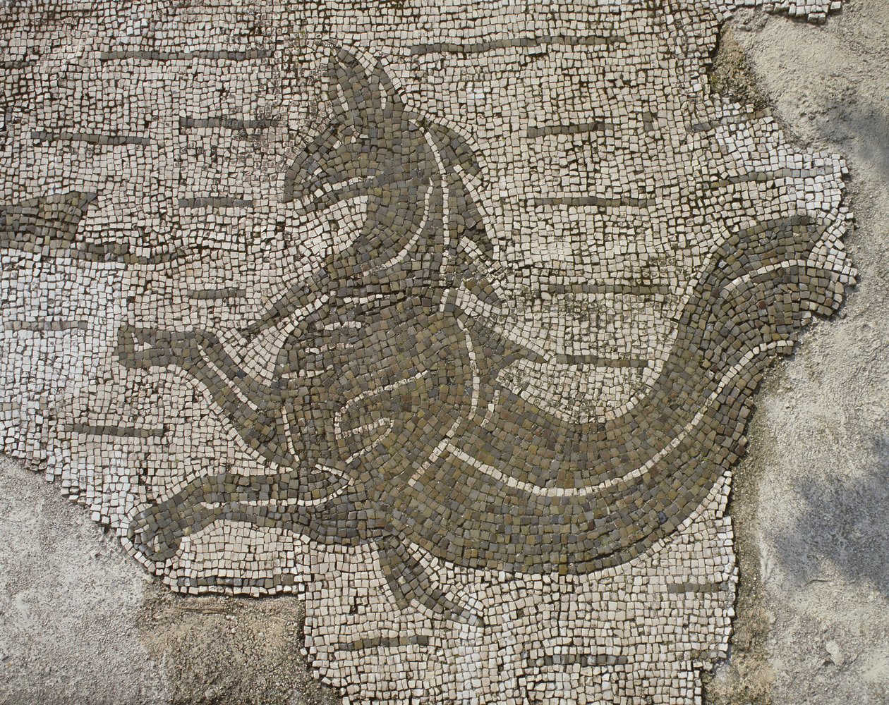 Drak (mozaika) od Roman