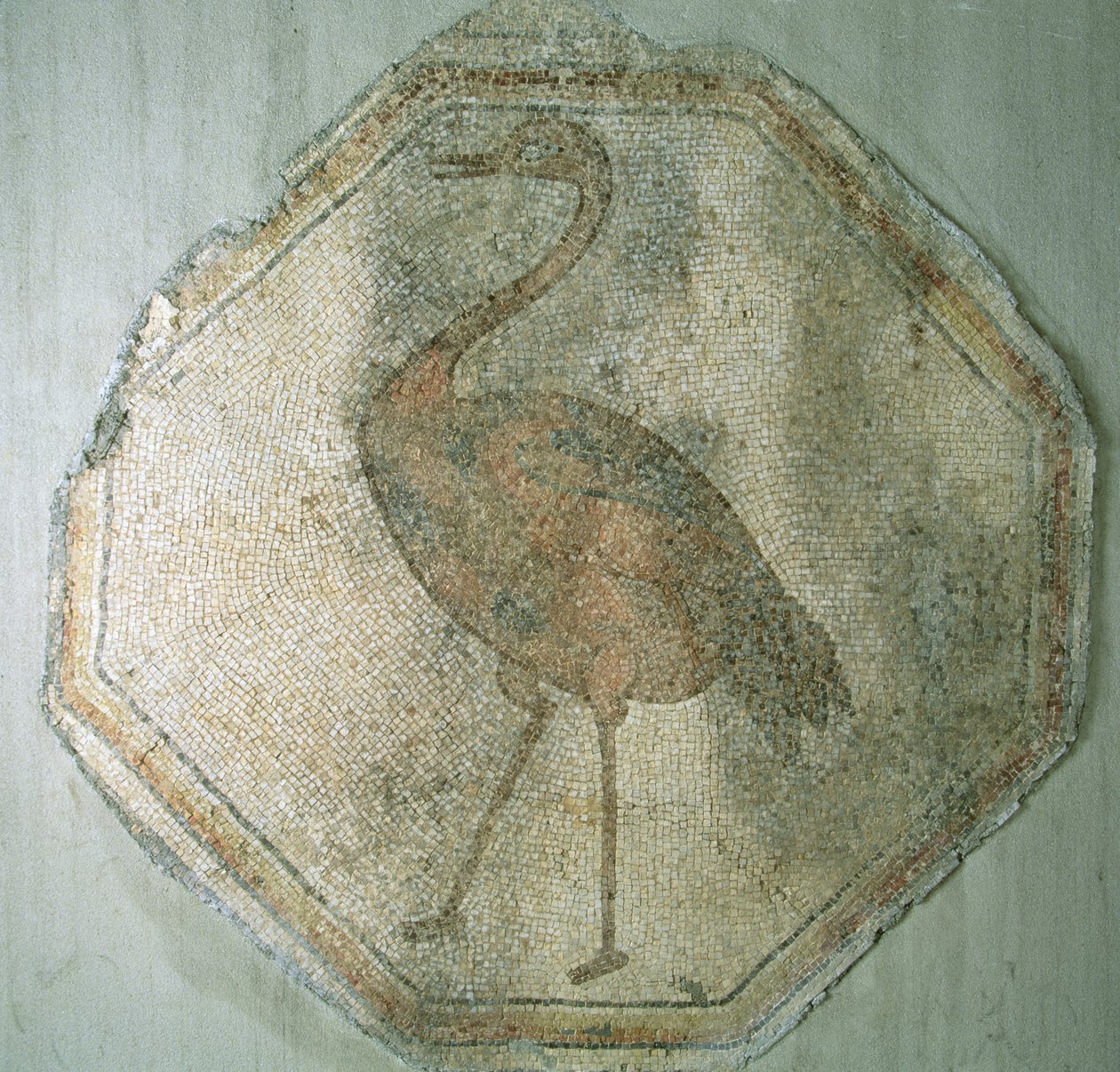Mozaika zobrazující pštrosa z tureckého Salkimu od Roman