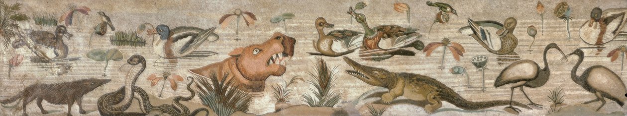 Nilská scéna, z Casa del Fauno (Faunův dům) Pompeje (mozaika) od Roman