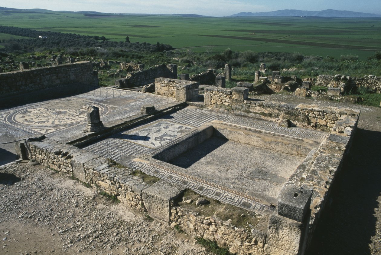 Dlažba patricijského domu od Roman