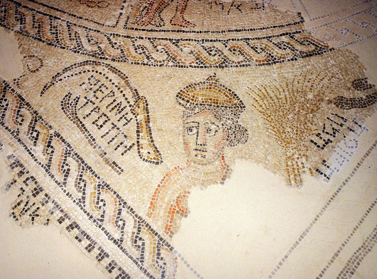 Sepphoris mozaika, Tzippori (mozaika) od Roman