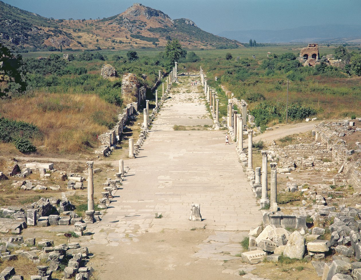 Pohled na Arkádskou cestu od Roman