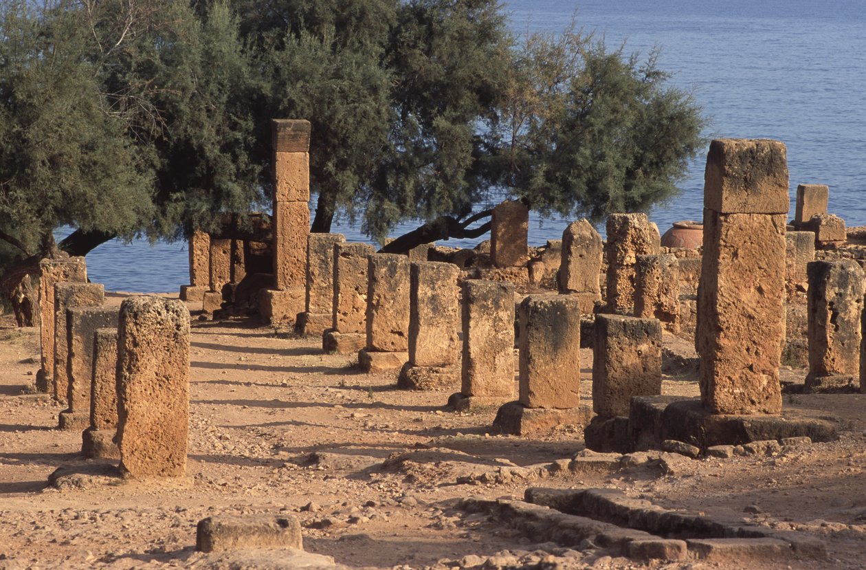 Pohled na Cardo od Roman